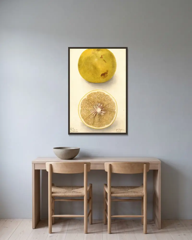Citrus paradisi: Ellen, Deborah Griscom Passmore w ramie na ścianie