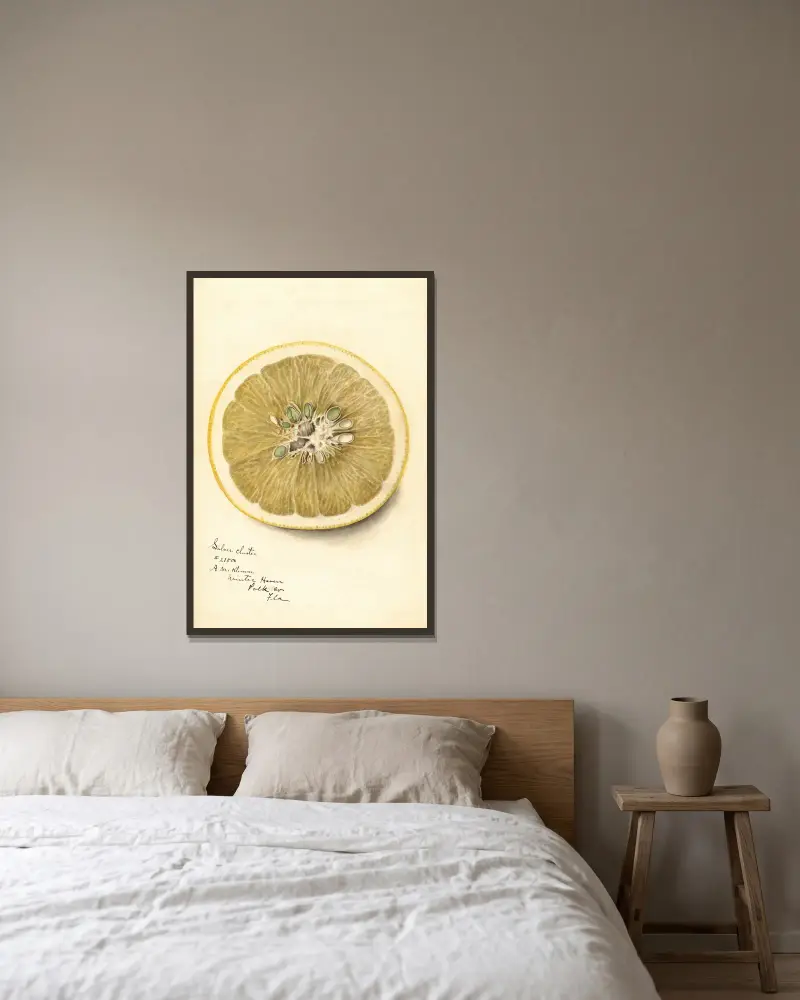 Citrus paradisi: Silver Cluster von Deborah Griscom Passmore gerahmt an einer Wand