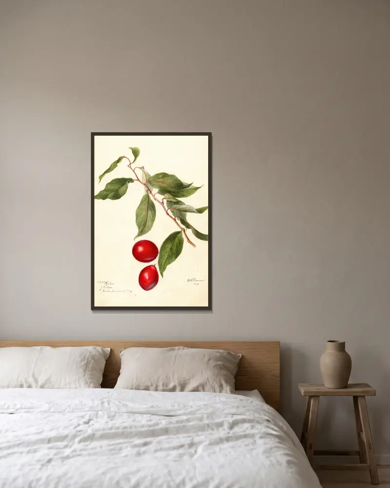 Prunus domestica: Sophie av Deborah Griscom Passmore inramad på en vägg