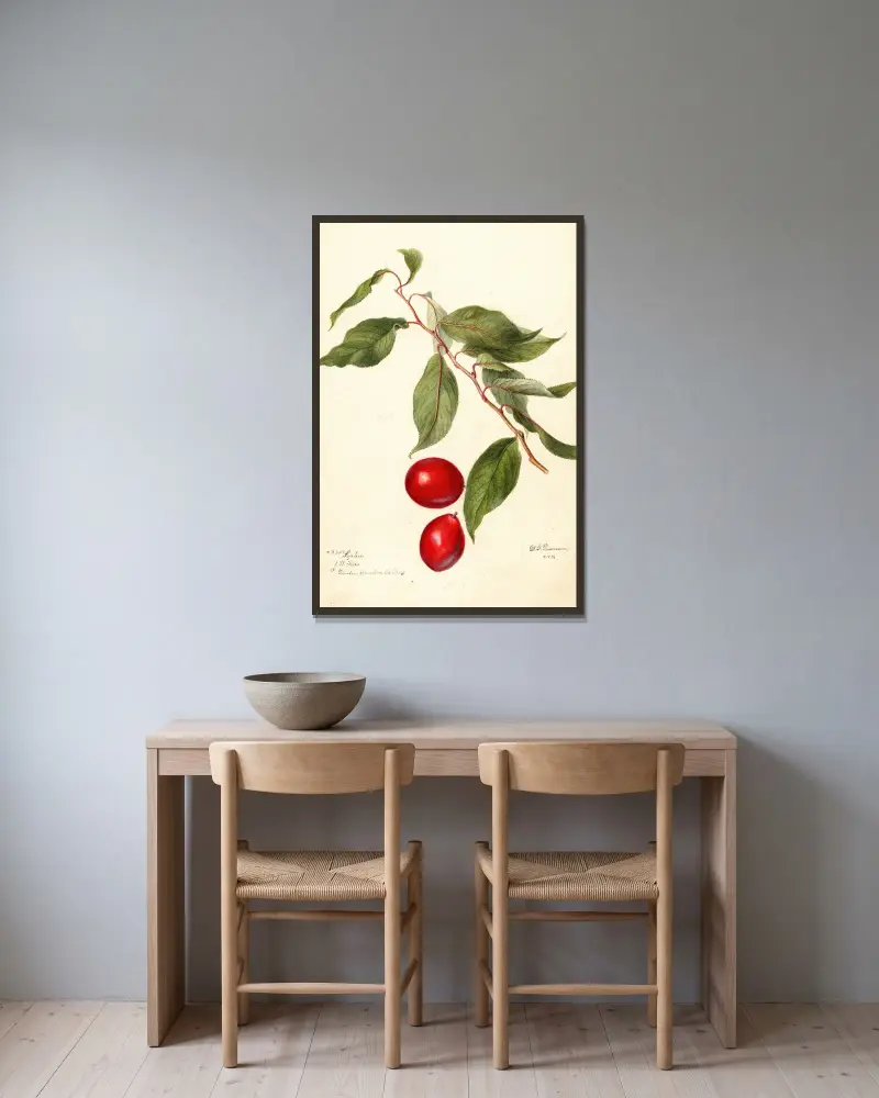 Prunus domestica: Sophie av Deborah Griscom Passmore inramad på en vägg