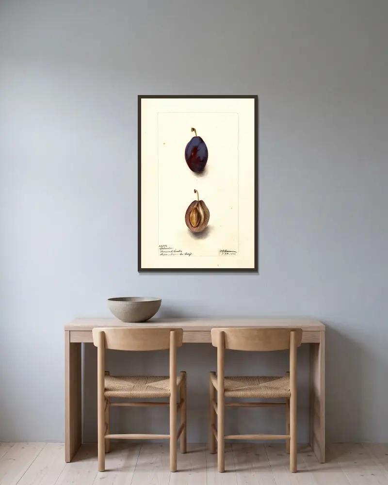 Prunus domestica: Splendor von Deborah Griscom Passmore gerahmt an einer Wand