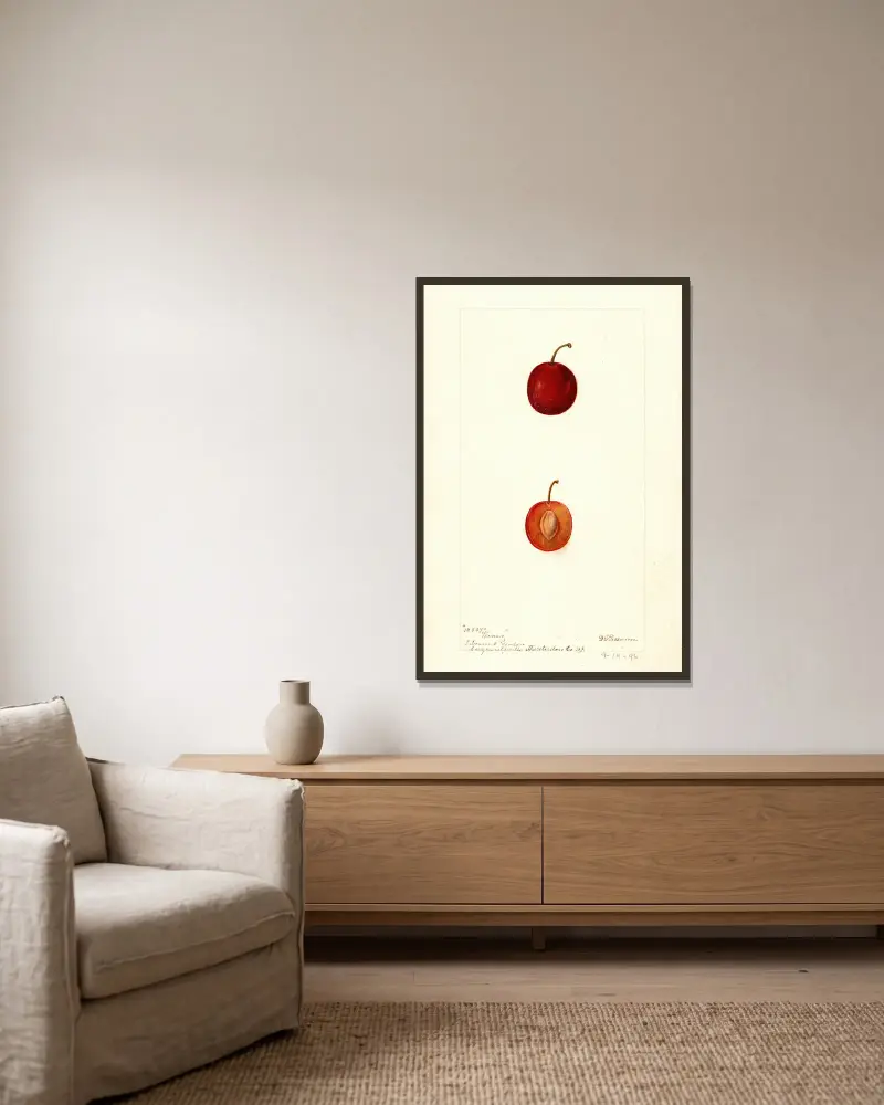 Prunus domestica: Warren, Deborah Griscom Passmore w ramie na ścianie