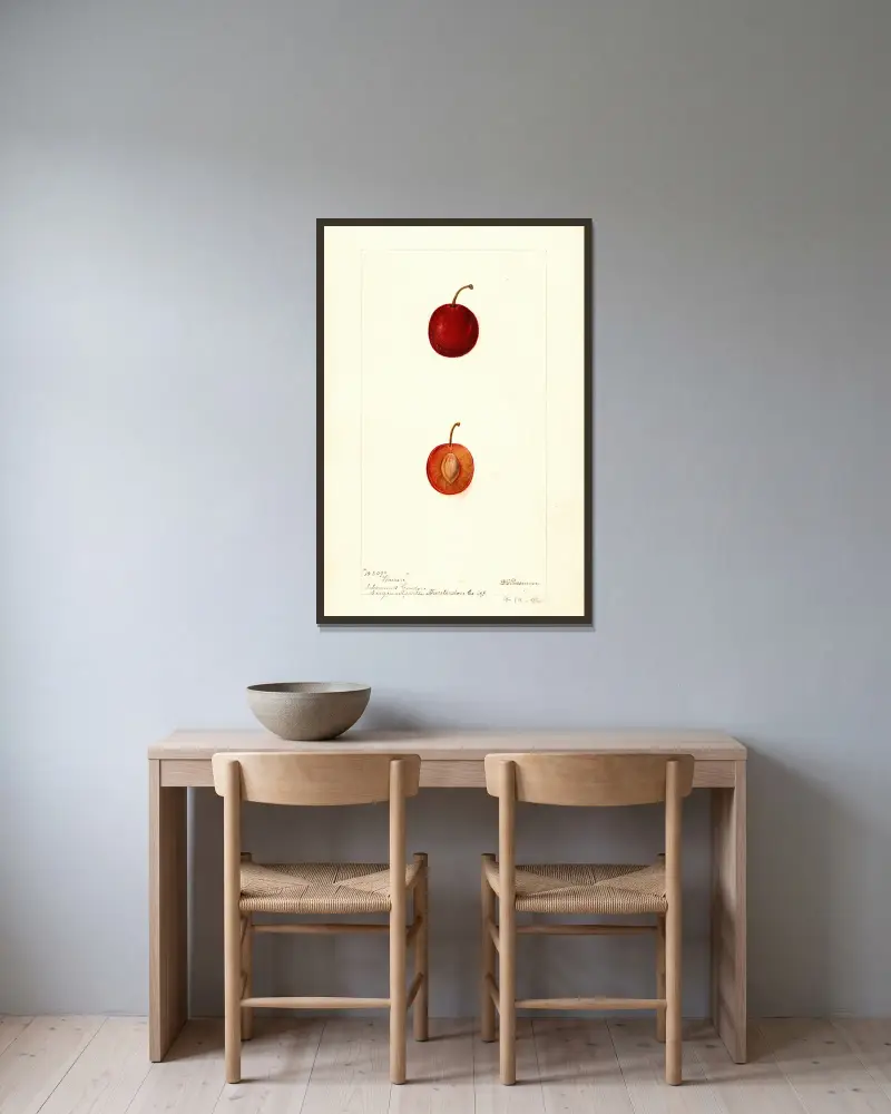 Prunus domestica: Warren, Deborah Griscom Passmore w ramie na ścianie