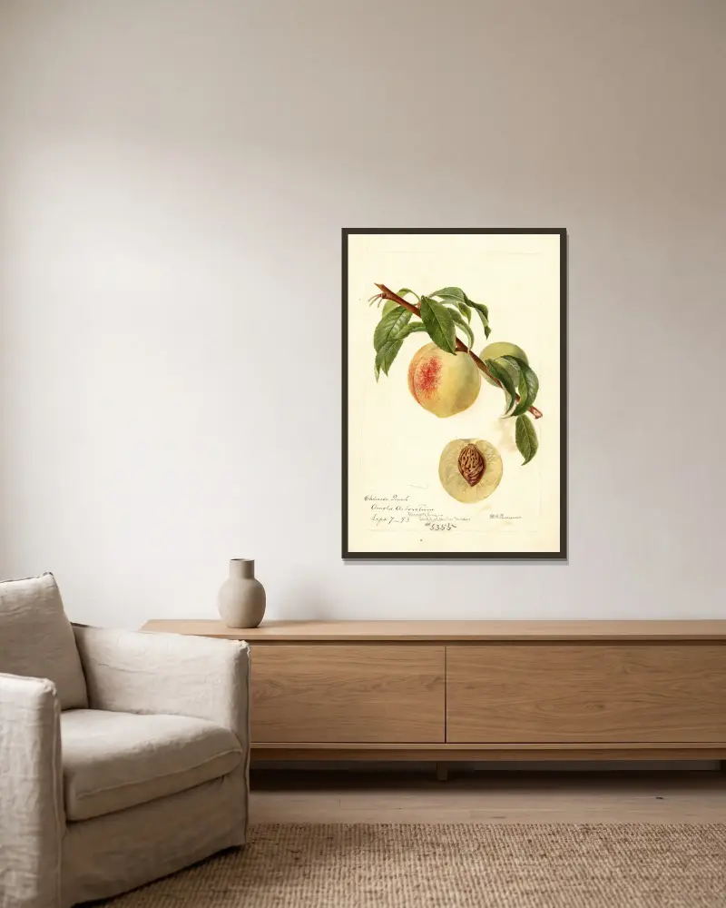 Prunus persica: Chinese, Deborah Griscom Passmore w ramie na ścianie
