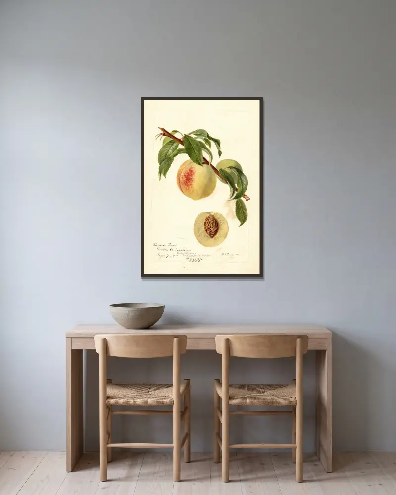 Prunus persica: Chinese, Deborah Griscom Passmore w ramie na ścianie