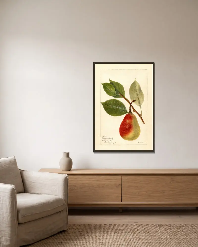 Pyrus communis: Summer Beauty von Deborah Griscom Passmore gerahmt an einer Wand