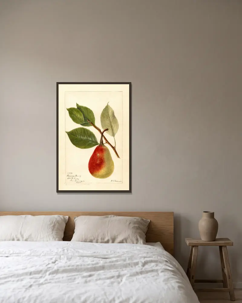 Pyrus communis: Summer Beauty von Deborah Griscom Passmore gerahmt an einer Wand