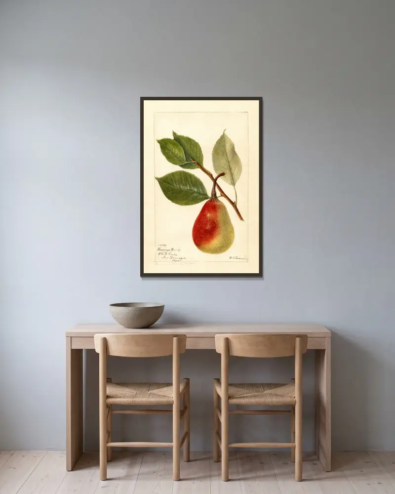 Pyrus communis: Summer Beauty von Deborah Griscom Passmore gerahmt an einer Wand