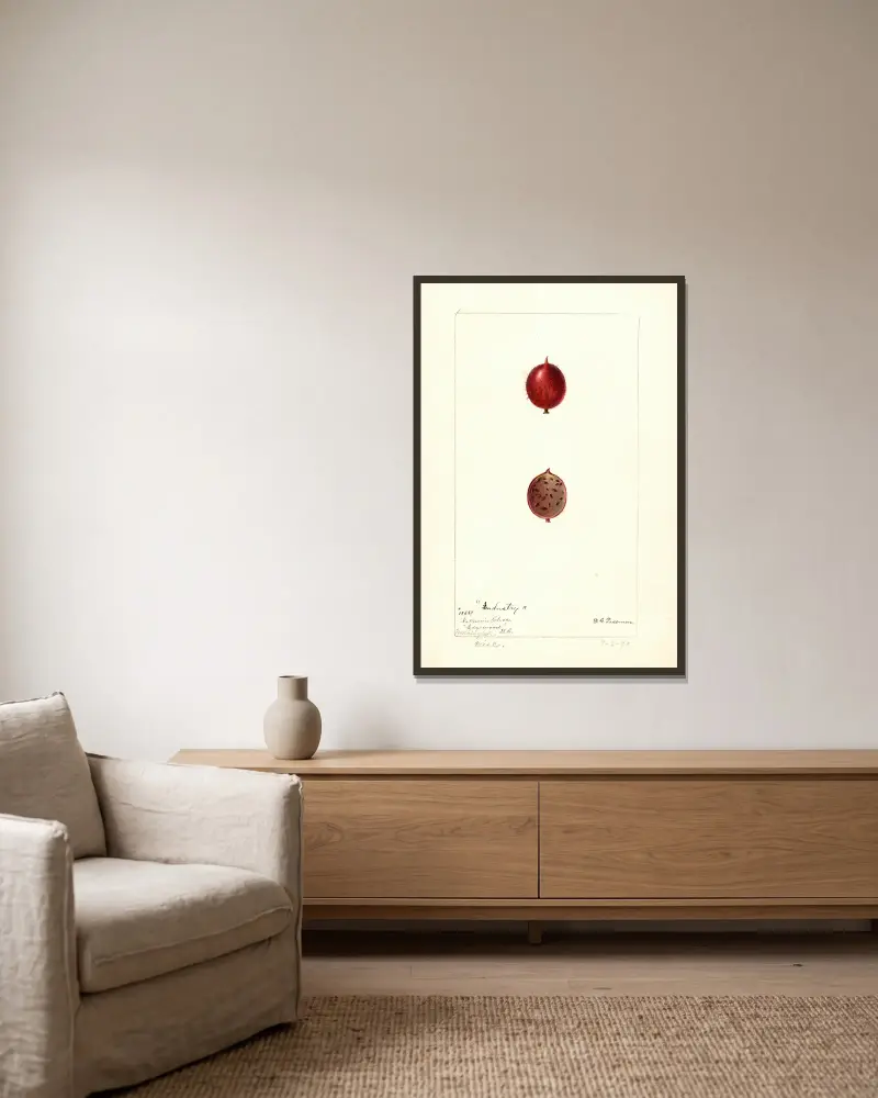 Porzeczka: Przemysł, Deborah Griscom Passmore w ramie na ścianie