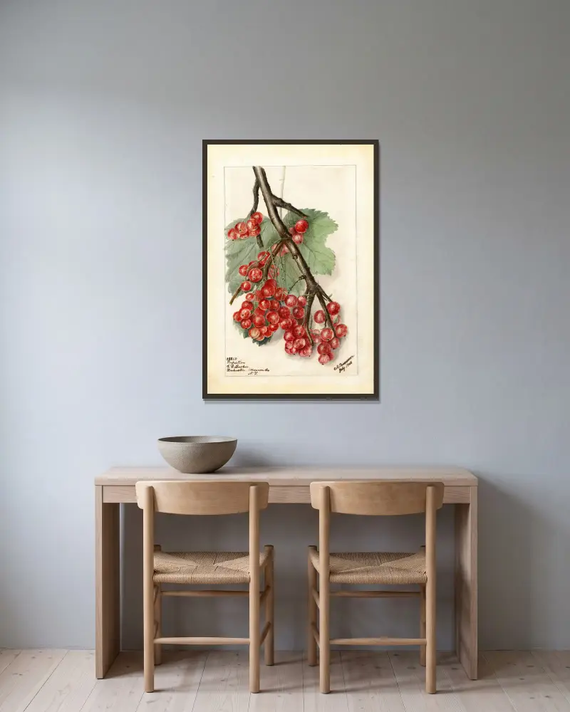 Ribes: Perfection, Deborah Griscom Passmore v rámu na stěně
