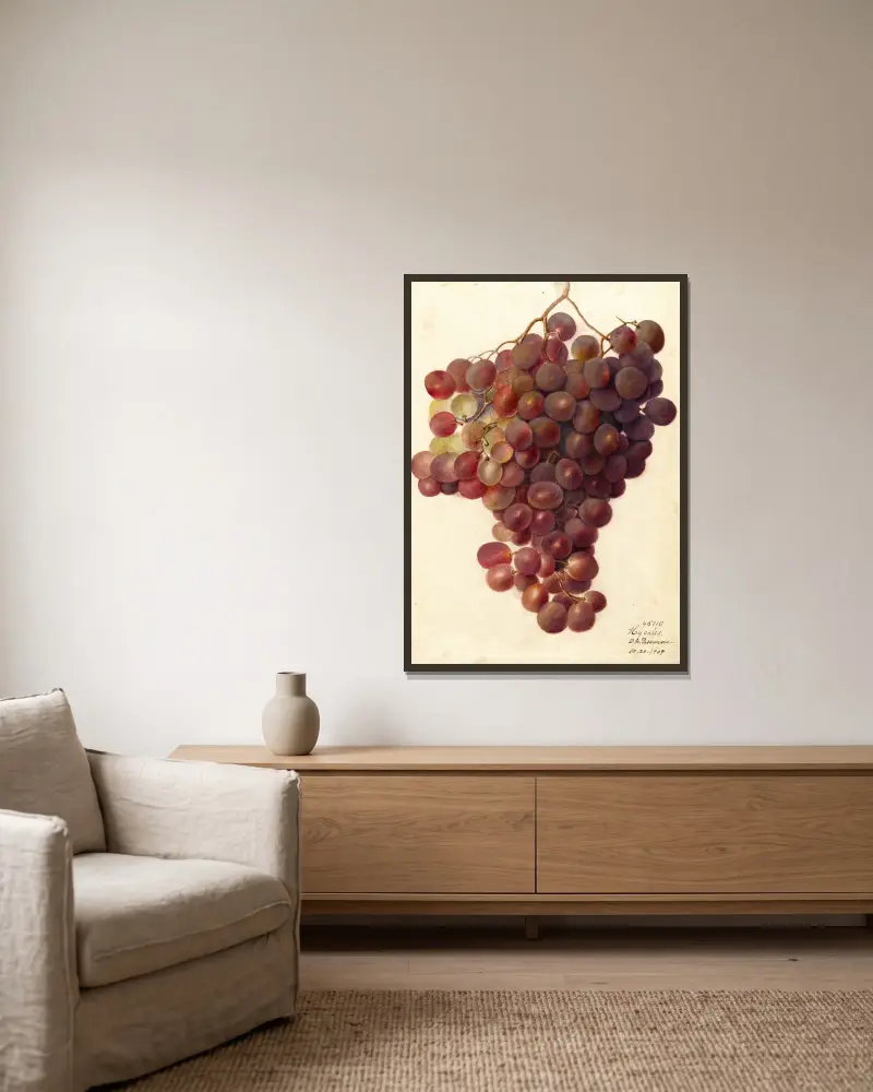 Vitis: Hycales, Deborah Griscom Passmore v rámu na stěně