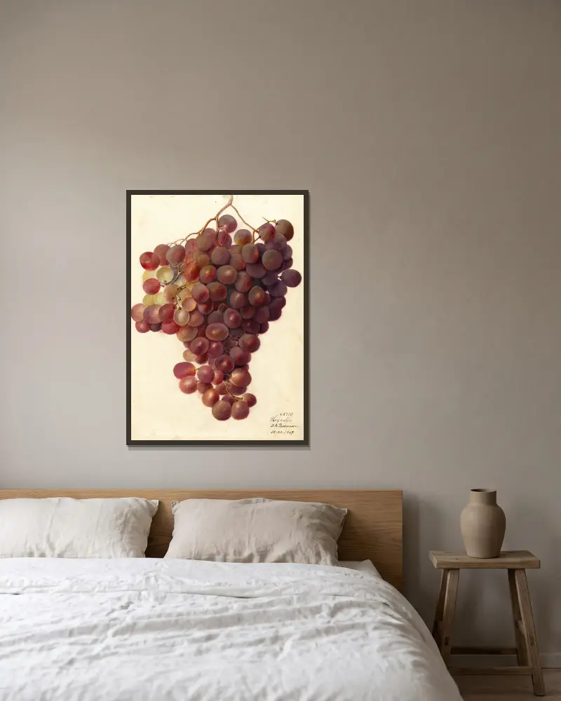 Vitis: Hycales, Deborah Griscom Passmore v rámu na stěně