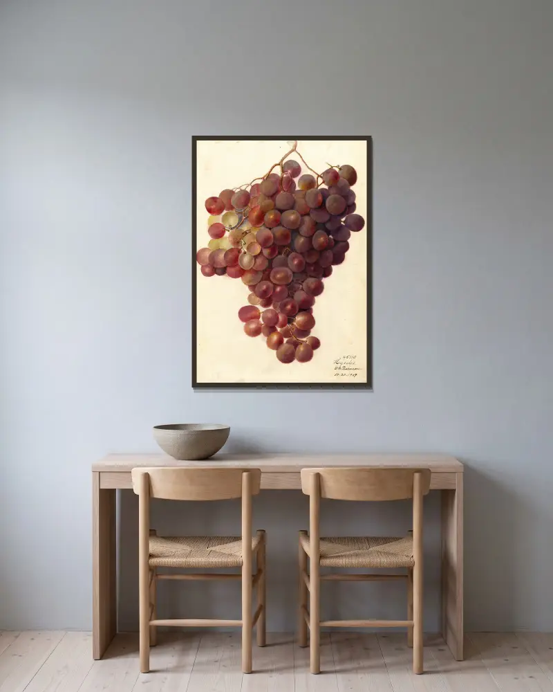 Vitis: Hycales, Deborah Griscom Passmore v rámu na stěně