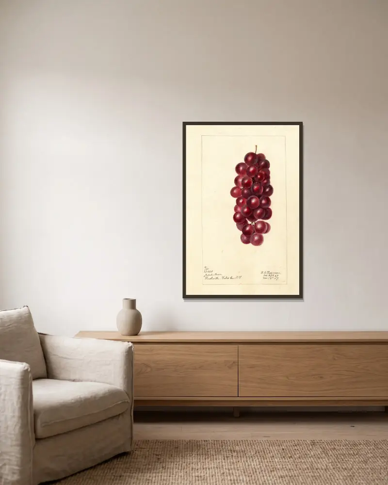 Vitis: Jacob Moore von Deborah Griscom Passmore gerahmt an einer Wand