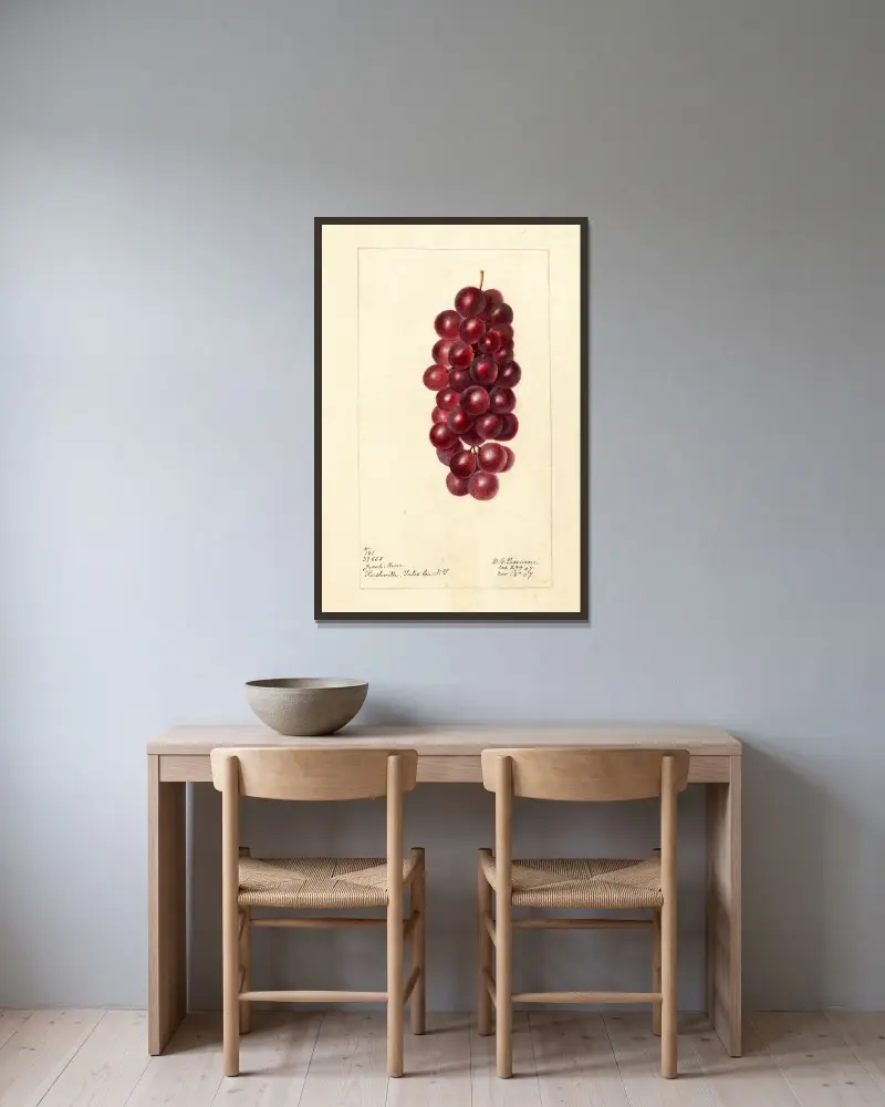 Vitis: Jacob Moore von Deborah Griscom Passmore gerahmt an einer Wand