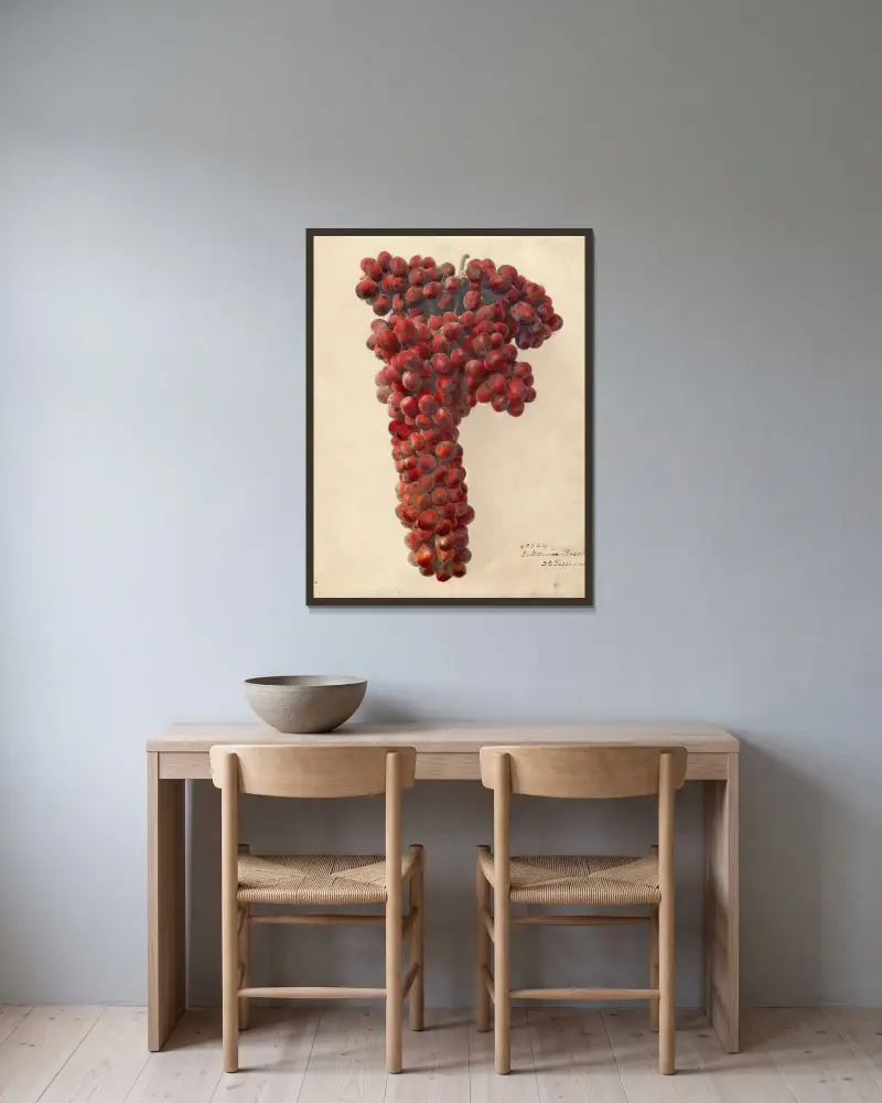 Vitis: Sultanina Rosea – Nr. 1, Deborah Griscom Passmore v rámu na stěně