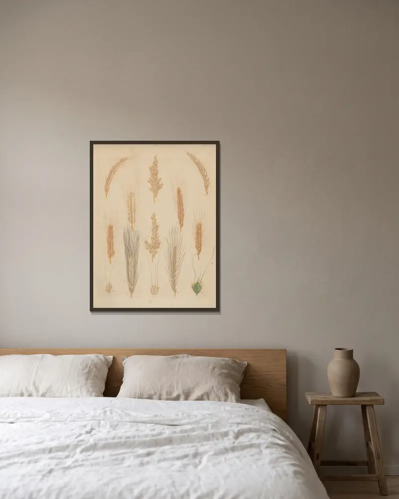 Deutschlands Feld- und Gartengewächse Pl.10 av Carl Gustav Calwer inramad på en vägg
