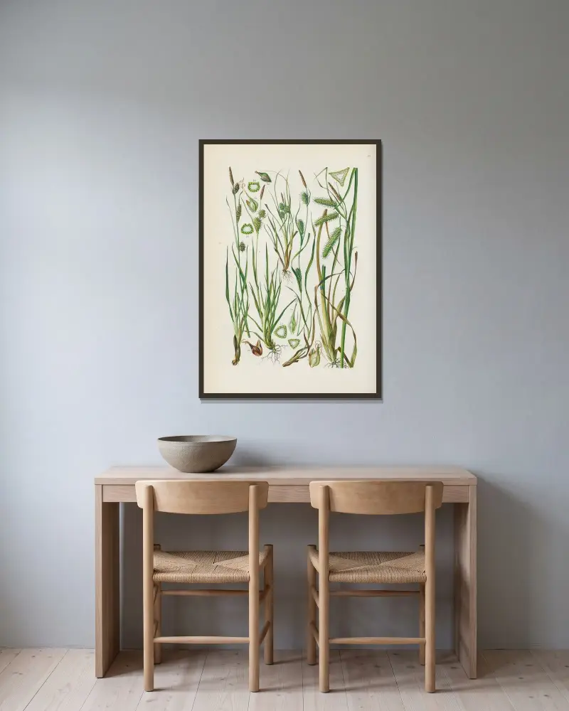Illustrerad flora för Centraleuropa Pl.053 av Gustav Hegi inramad på en vägg