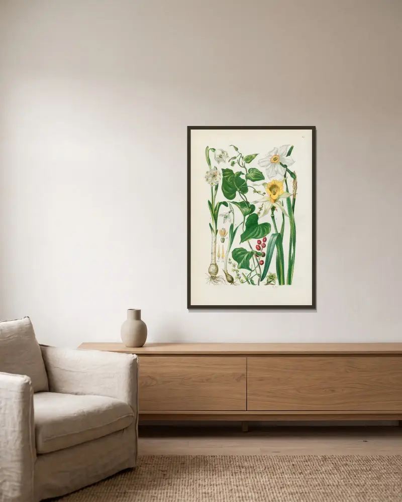 Illustrerad flora för Centraleuropa pl. 067 av Gustav Hegi inramad på en vägg