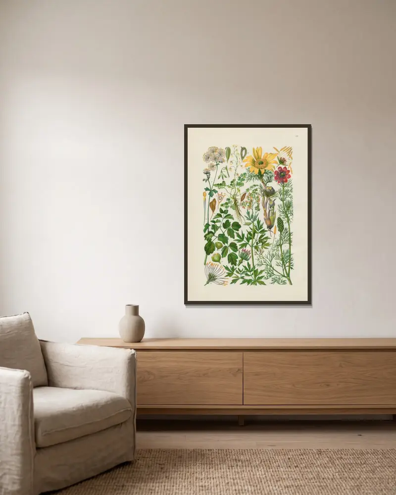 Illustrerad flora för Centraleuropa pl. 121 av Gustav Hegi inramad på en vägg