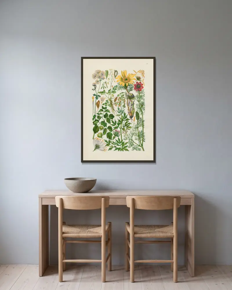Illustrerad flora för Centraleuropa pl. 121 av Gustav Hegi inramad på en vägg