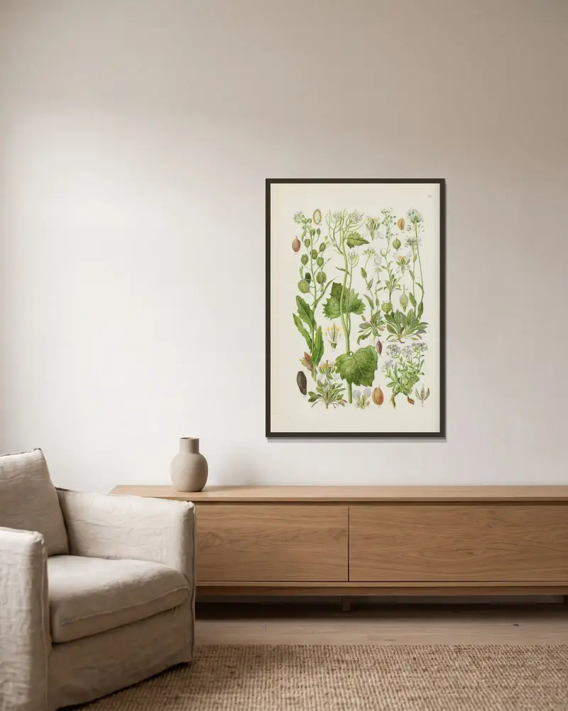 Illustrerad flora från Centraleuropa Pl.128 av Gustav Hegi inramad på en vägg