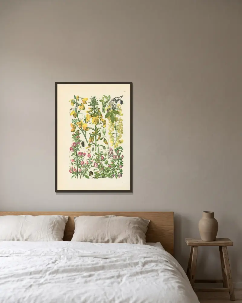 Illustrerad flora för Centraleuropa pl. 160 av Gustav Hegi inramad på en vägg