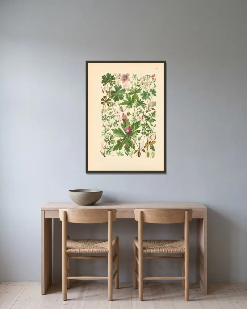 Illustrerade flora från Centraleuropa plansch 173 av Gustav Hegi inramad på en vägg