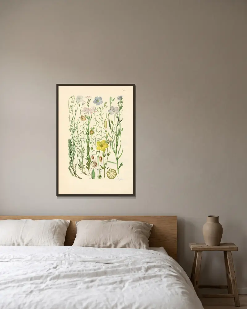 Illustrerad flora från Centraleuropa pl. 175 av Gustav Hegi inramad på en vägg