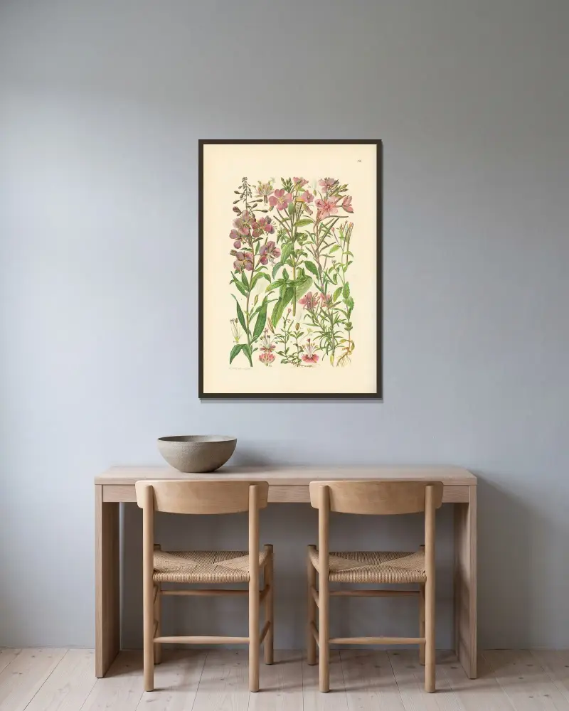 Illustrerad flora från centraleuropa, plansch 189 av Gustav Hegi inramad på en vägg