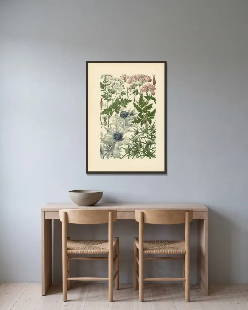 Illustrerad flora från Centraleuropa pl. 192 av Gustav Hegi inramad på en vägg