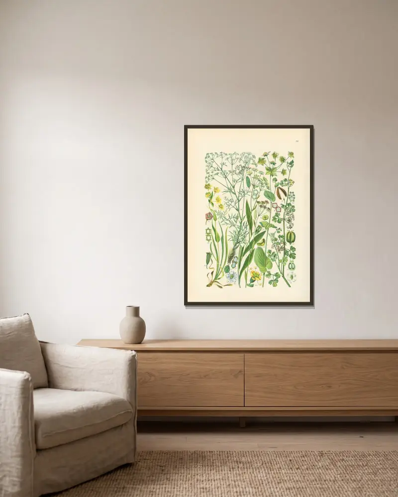 Illustrerade flora från Centraleuropa Pl.195 av Gustav Hegi inramad på en vägg