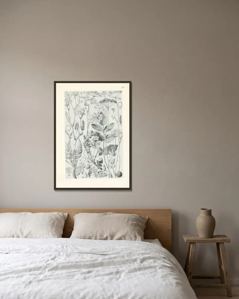 Illustrerad flora för Centraleuropa pl. 197 av Gustav Hegi inramad på en vägg