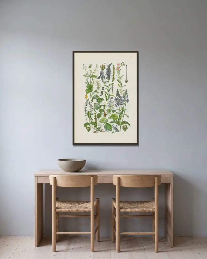 Illustrerad flora över Centraleuropa pl. 238 av Gustav Hegi inramad på en vägg