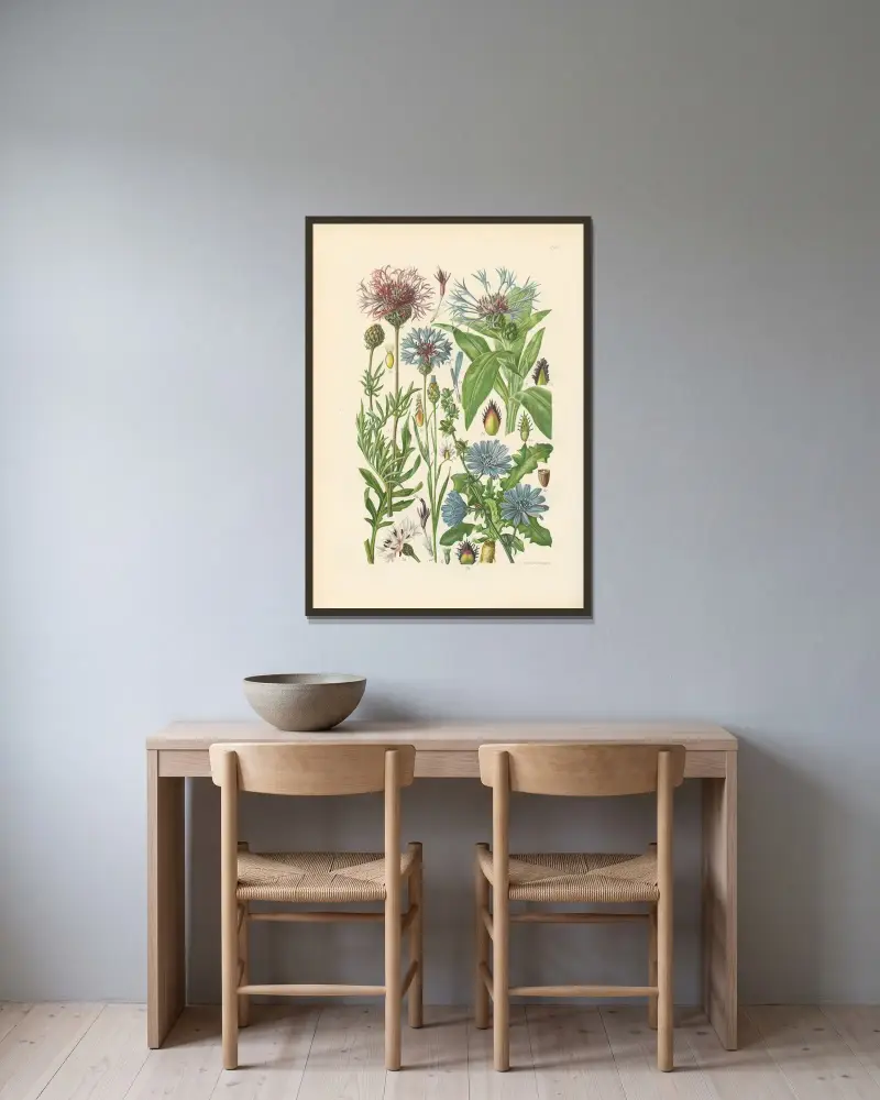 Illustrerad flora för Centraleuropa pl. 273 av Gustav Hegi inramad på en vägg