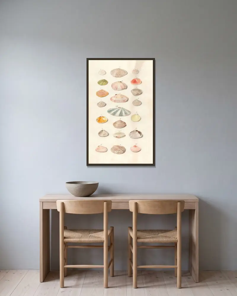 Muscheln aus der Sammlung der Herzöge von Württemberg Tafel 41 von Johann Gustav Hoch gerahmt an einer Wand