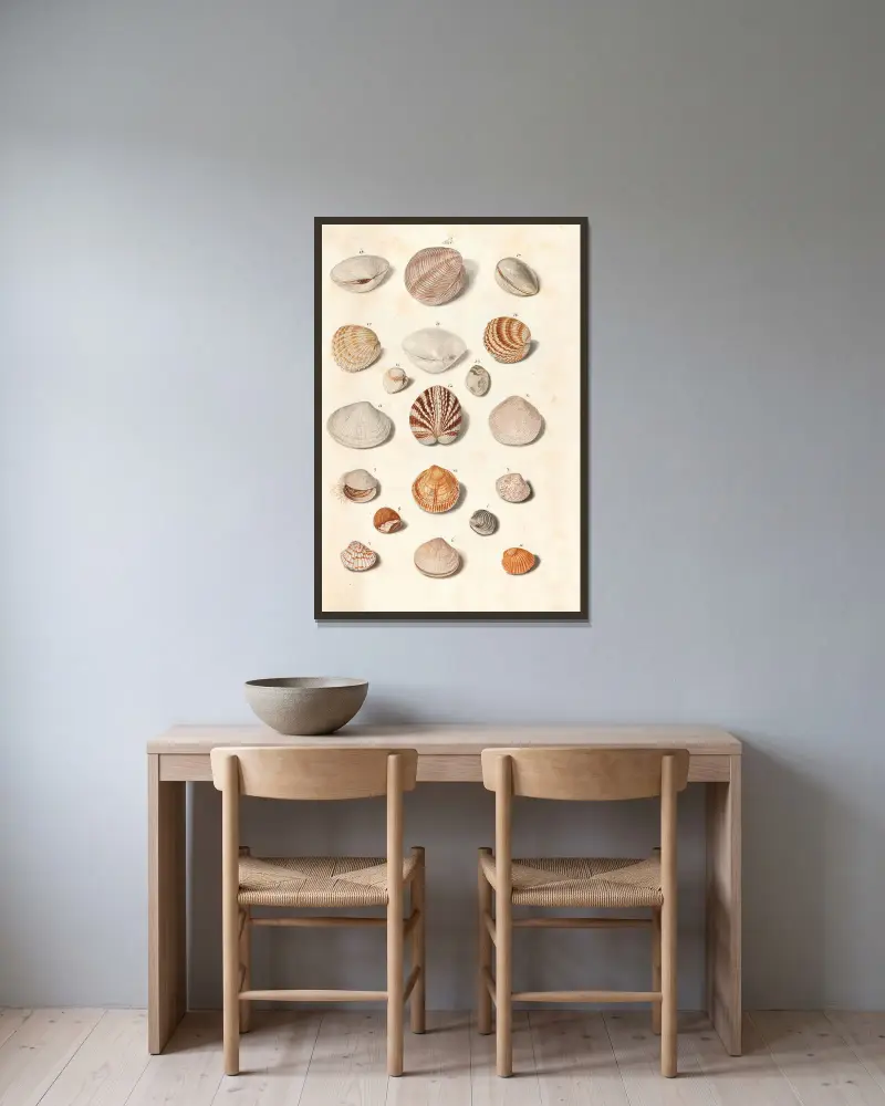 Shells from the collection of the Dukes of Württemberg Pl.43 av Johann Gustav Hoch inramad på en vägg