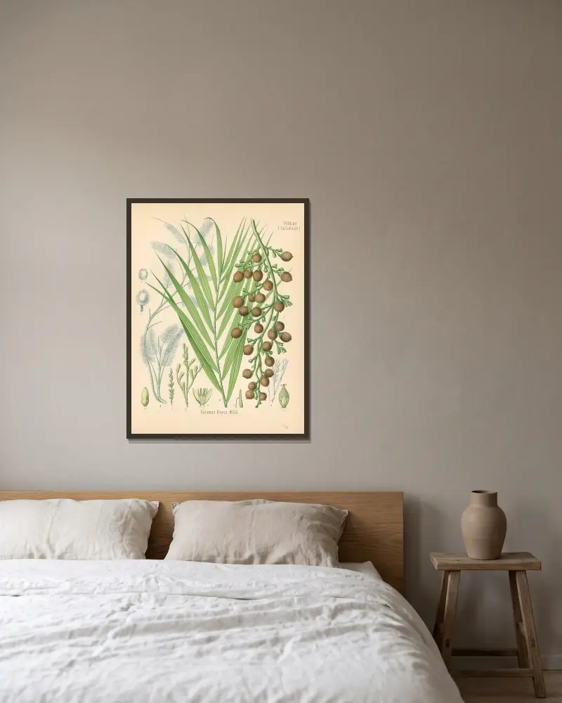 Calamus Draco von Gustav Pabst gerahmt an einer Wand