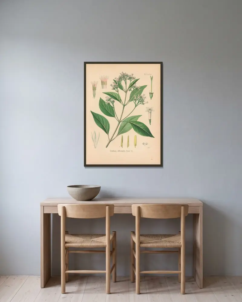 Cinchona officinalis av Gustav Pabst inramad på en vägg