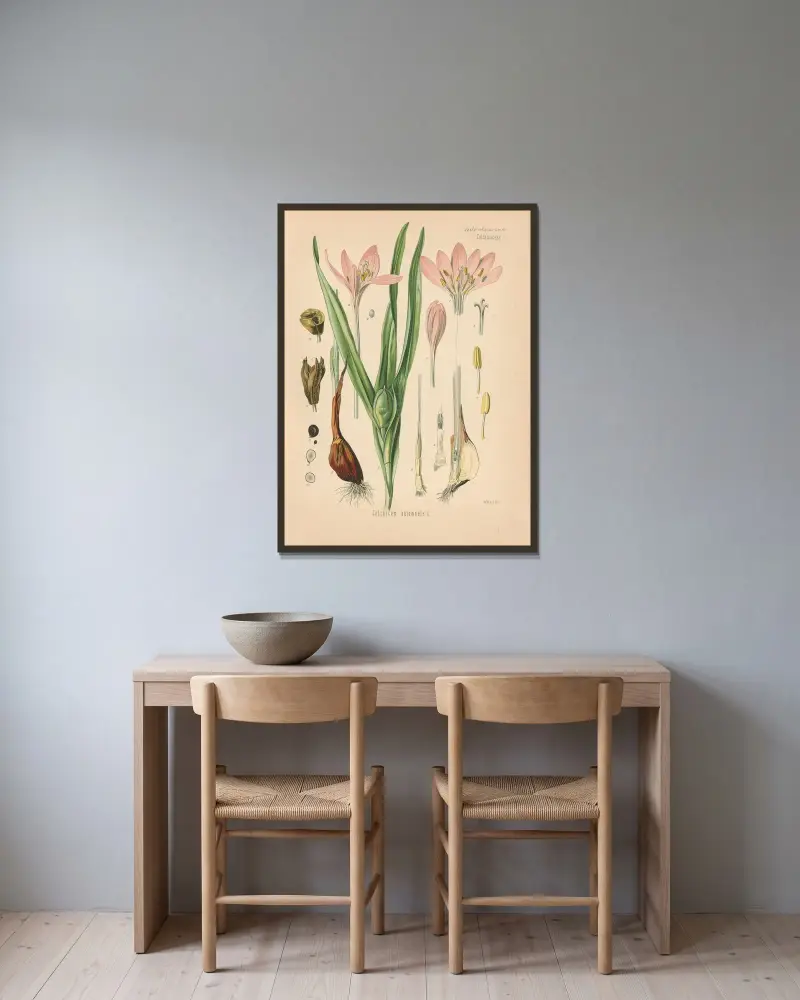 Colchicum autumnale av Gustav Pabst inramad på en vägg