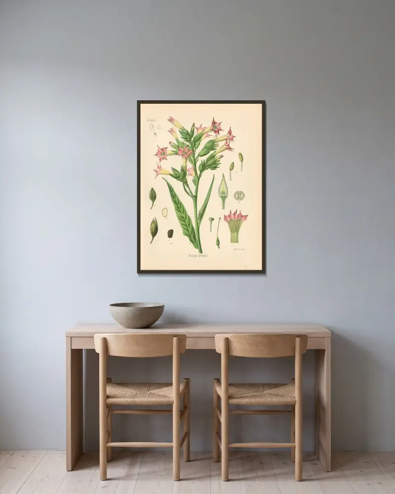 Nicotiana Tabacum av Gustav Pabst inramad på en vägg