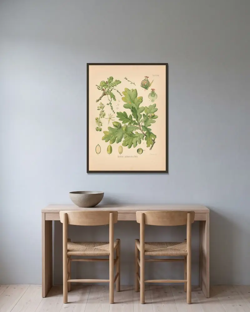 Quercus pedunculata av Gustav Pabst inramad på en vägg