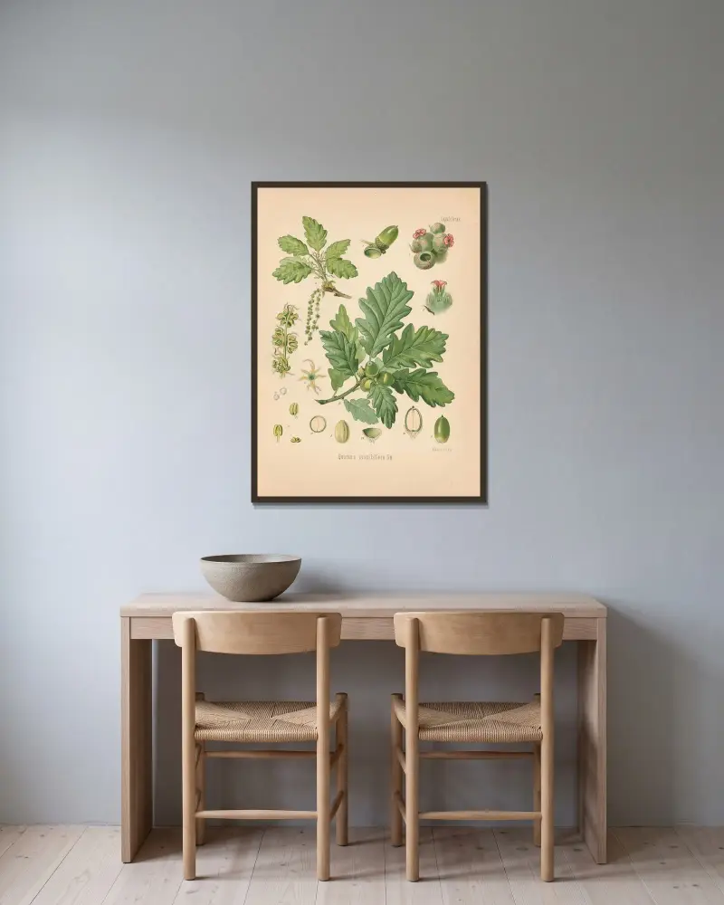 Quercus sessiliflora av Gustav Pabst inramad på en vägg