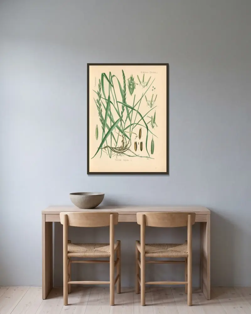 Triticum repens av Gustav Pabst inramad på en vägg