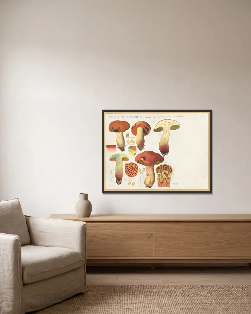 Boletus erythropus Pers., B. queletii Schulzer. av Hans Walty inramad på en vägg