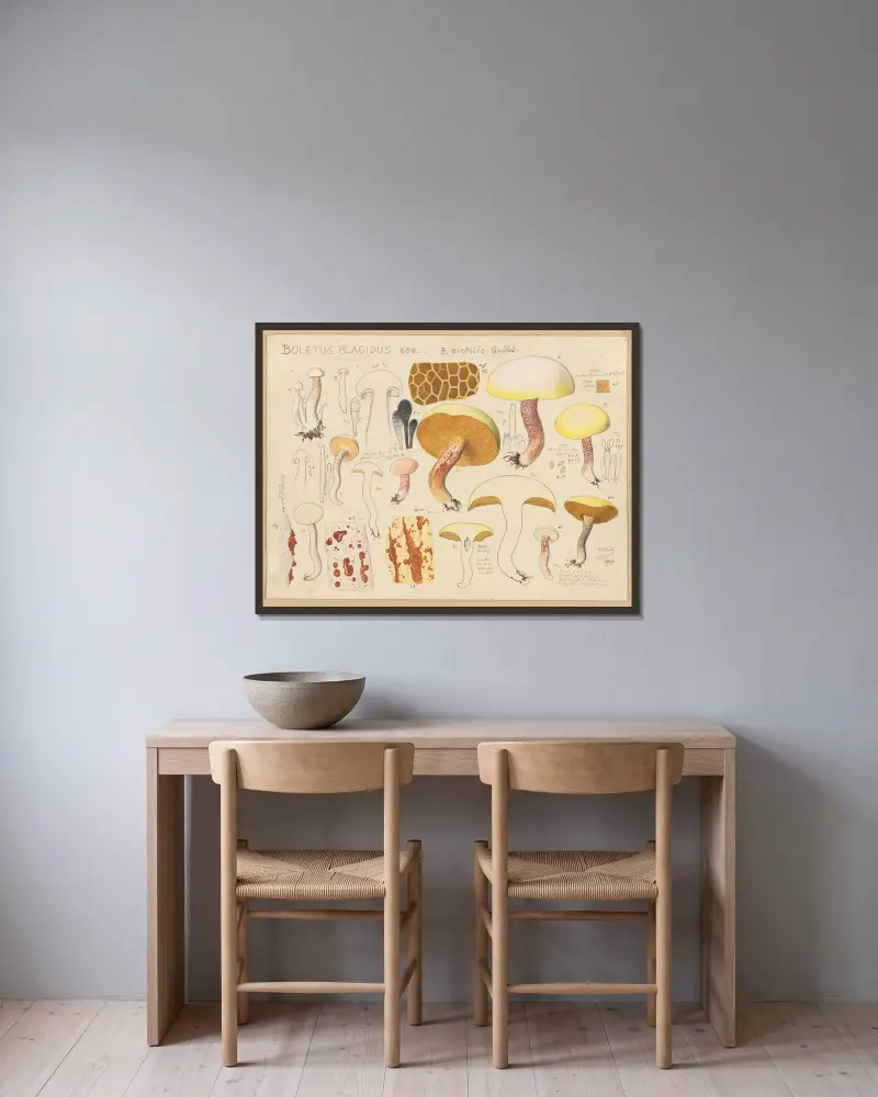 Boletus placidus Bon. B. pictilis Quélet. av Hans Walty inramad på en vägg