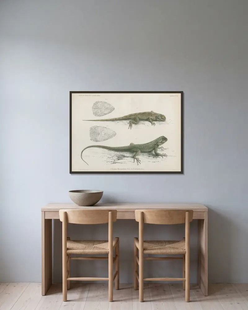 1. Agama Mossambica 2. A. armata, Wilhelm Karl Hartwich Peters v rámu na stěně
