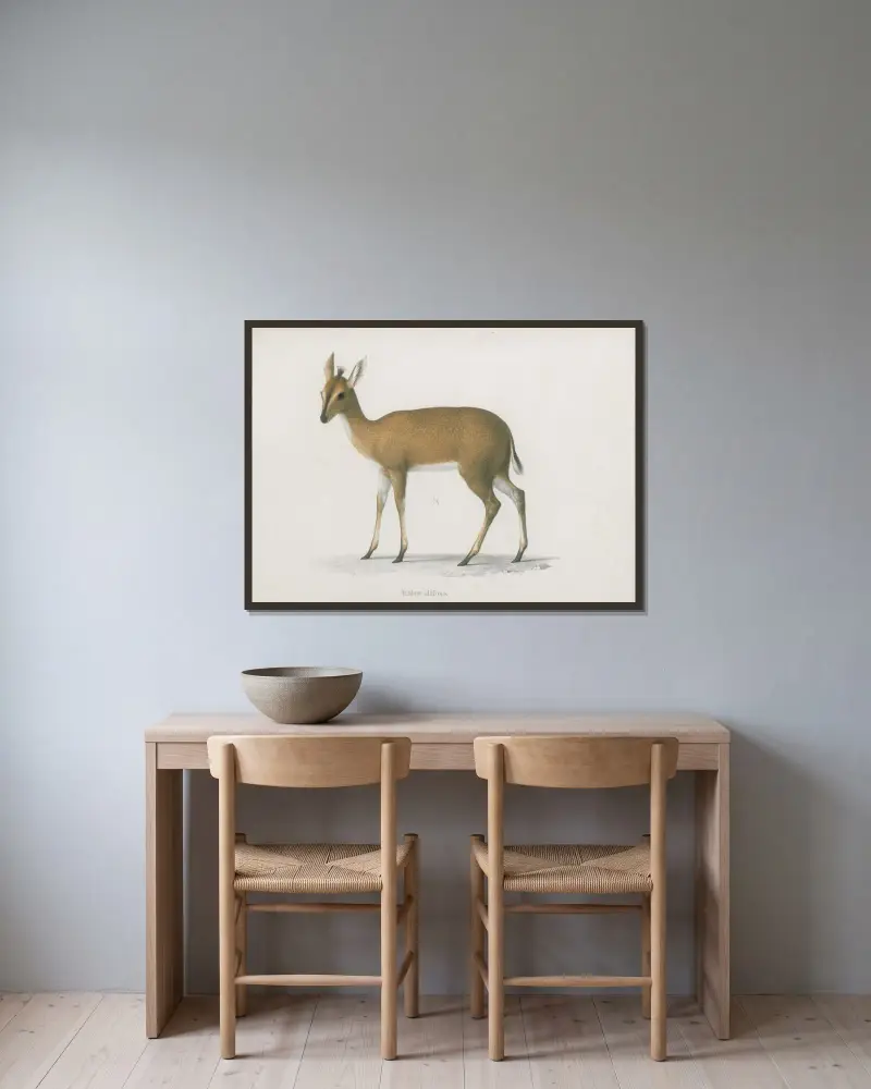 Antilope altifrons, Wilhelm Karl Hartwich Peters v rámu na stěně