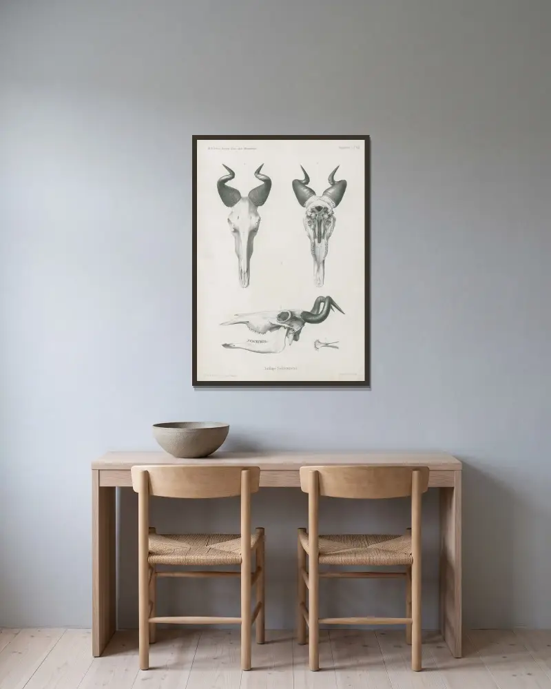 Antilope Lichtensteinii., Wilhelm Karl Hartwich Peters v rámu na stěně