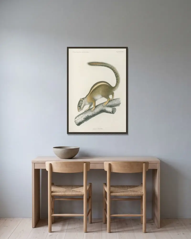 Sciurus flavivittis, Wilhelm Karl Hartwich Peters v rámu na stěně